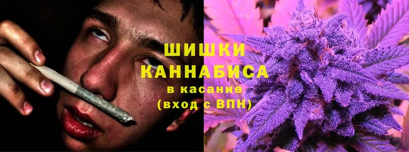 Конопля Ganja  Кола 